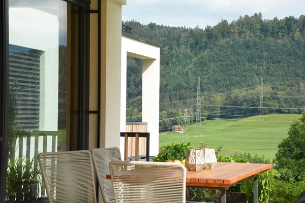 Blick von der überdachten Terrasse über die Wiesen zum bewaldeten Hang